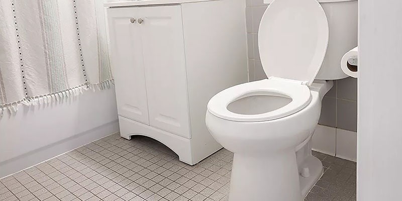 ضد عفونی توالت فرنگی