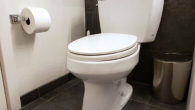 Blog ToiletInstallation MSchmitz 0001