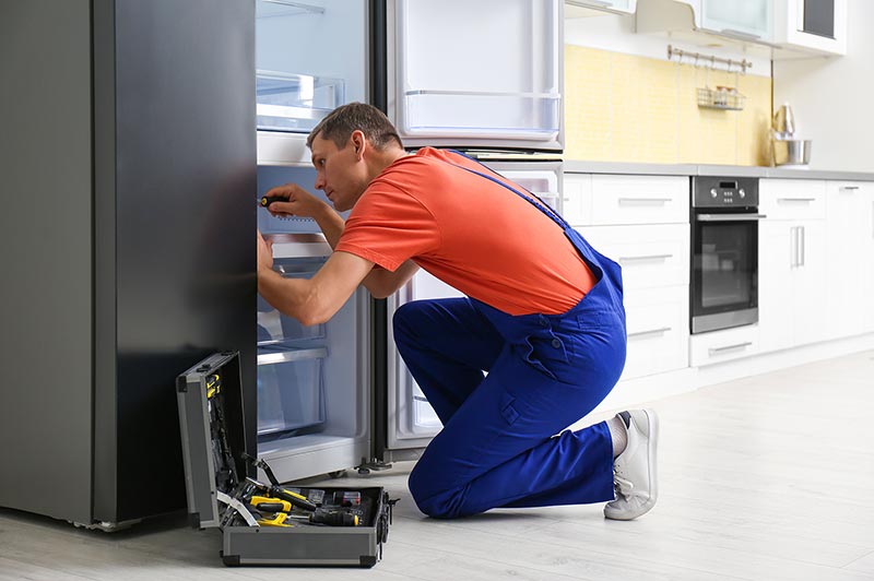 snowa refrigerator repair service