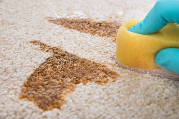 پاک کردن لکه های نوشابه از روی فرش با ۷راهکار ساده