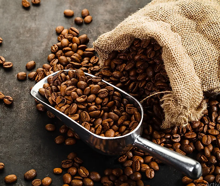 تفاوت قهوه عربیکا و روبوستا | ویژگی های قهوه عربیکا و روبوستا