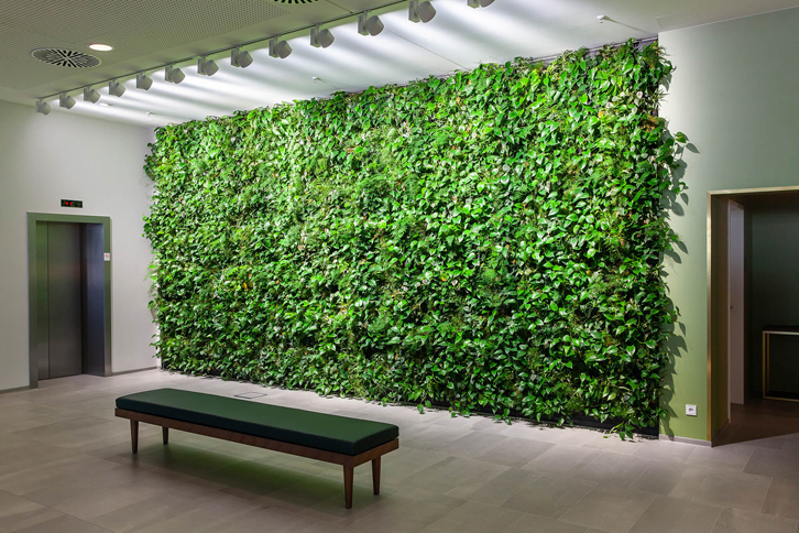 دیوار سبز مصنوعی چیست؟ | ویژگی، مزایا و معایب آن