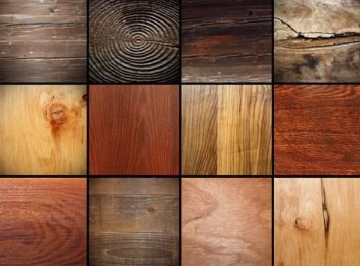 انواع چوب در صنعت ساختمان