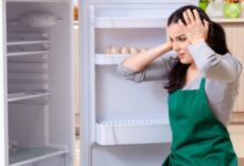 تعمیر یخچال در خوش‌رود‌پی