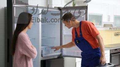fridge repairman and woman 2