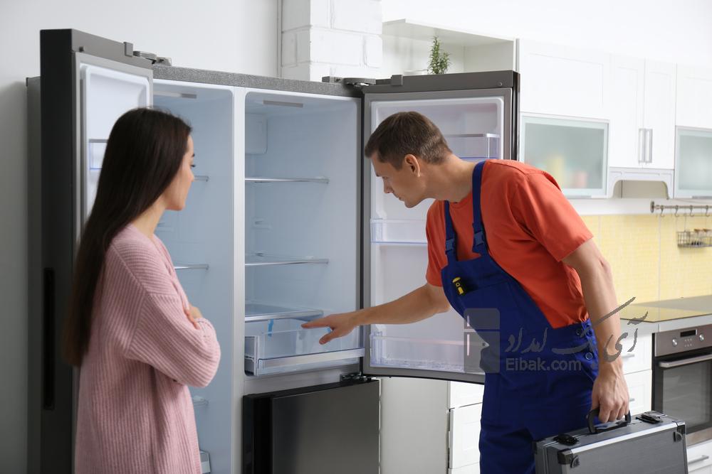 fridge repairman and woman